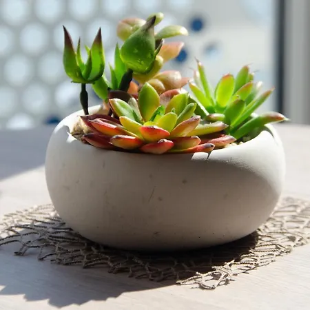 Morjan Koblenz (Rhineland-Palatinate)