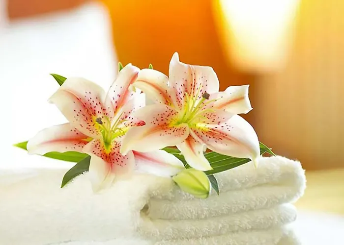 Morjan Hotel Coblence