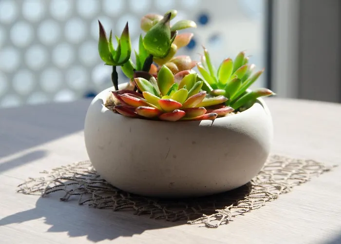 Morjan コブレンツ